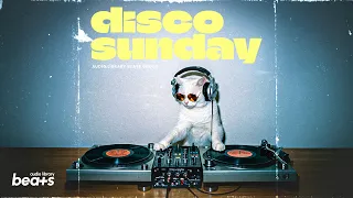 Disco Sunday — Audio Library Beats | Modern Funk Disco | No Copyright Music