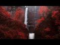 Download Lagu Surah Jinn Qari Siddique Al Minshawi Beautiful recitation