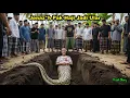 Warga Menjerit! May*t Pak Haji Jadi Ular Mengerikan Hal Mengejutkan Telah Dia Lakukan #KisahStory