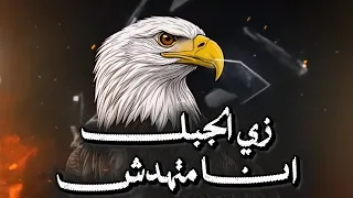 زي الجبل أنا متهدش لسه الأسد حاكم غابته    اسلام السوهاجي  حالات واتس  ستوريات  محمد بسكوت  ترند  دندنها
