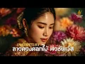 ลาวดวงดอกไม้ (Lao Duang Dok Mai)ล้านนาฟิวชั่นแจ๊ส(Fusion Jazz Instrumental)- Bangkok Blend
