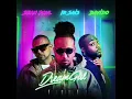 Lagu IR Sais, Sean Paul, Davido - Dream Girl Remix (Audio)
