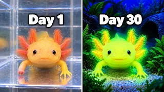 I Rescued A Mystery Axolotl (It Wasn't Normal)