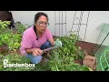 Download Lagu Gardenbox Hori Hori Knife