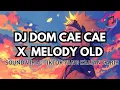 Download Lagu DJ DOM CAE CAE X MELODY OLD SLOWED REVERB VIRAL YANG KALIAN CARI COCOK BUAT SANTAI