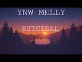 Download Lagu YNW Melly - Suicidal (Slowed / reverbed)