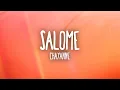 Download Lagu Chayanne - Salomé (Letra/Lyrics)