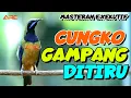 Download Lagu CUNGKO GACOR ‼️MASTERAN CUCAK CUNGKO ISIAN GAMAPNG DITIRU DAN GAMPANG MASUK MP3
