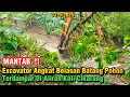 Download Lagu MANTAB‼️Excavator Angkat Belasan Batang Pohon Besar Yang Terdampar Di Aliran Kali Cikarang