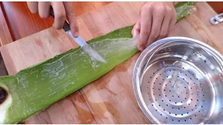 MAKING ALOE VERA GEL