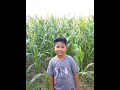 (ZEBBIANA LYRICS MP3 BY:SKUSTA CLEE)