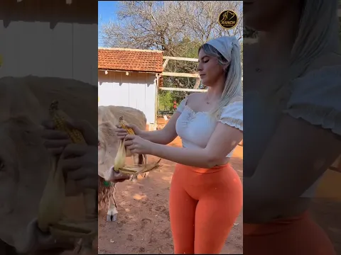@joelantonionarvaez MUJER LLANERA ALIMENTANDO A LA VAQUITA @elguerrerojorge