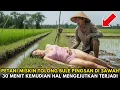 Lagu Petani Miskin Tolong Bule Pingsan di Sawah, 30 Menit Kemudian Semua Berubah!