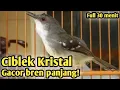 Download Lagu MASTERAN CIBLEK KRISTAL GACOR NGEBREN PANJANG FULL 30 MENIT!!