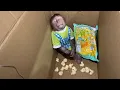 Download Lagu Cute Cubis fell asleep in a cardboard box!