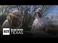 Allergy sufferers in North Texas are buzzing about a local remedy