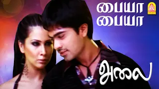 paiya paiya hd video song alai silambarasan trisha vidyasagar