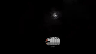 دايما في ظهري دا صاحب عمري بدون موسيقى 