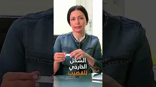 نصائح هامه للشباب المقبلين على الزواج 
