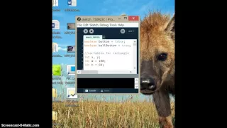 Processing Ball Bounce
