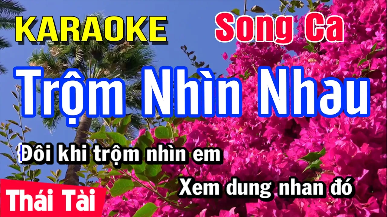 Karaoke Trộm Nhìn Nhau | Song Ca | Thái Tài