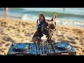 Beach Vibes House Mix 2025 ☀️ | Nic Fanciulli, Nick Curly, The Shapeshifters + more