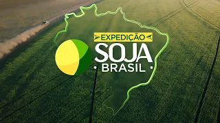Produtor de MT aposta no plantio direto para melhorar o solo