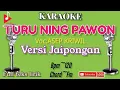 Download Lagu TURU NING PAWON || KARAOKE || ASEP KRIWIL