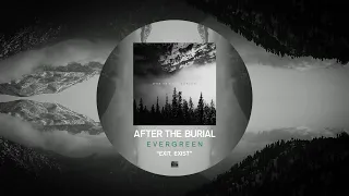 Download AFTER THE BURIAL - Exit, Exist MP3
