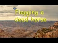 Flogging a dead horse American Idiom
