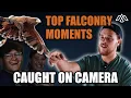 Download Lagu Top Desert Falconry Moments-CAUGHT ON CAMERA!