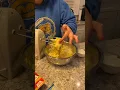 Salmonella
