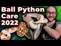 Ball Python Complete Care Guide 2022 The RIGHT WAY and What Has Changed