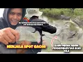 Download Lagu BANG MUGI LESTARI SAMPAI PANIK DI KIRA KOLAM PELIHARAAN KARENA KAMI DAPAT IKANNYA BABON”