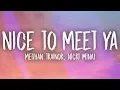 Download Lagu Meghan Trainor, Nicki Minaj - Nice To Meet Ya (Lyrics)