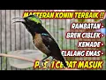 Download Lagu MASTERAN KONIN FULL ISIAN TEMBAKAN SUPER MEWAH !! PANCINGAN KOLIBRI NINJA CEPAT GACOR BONGKAR MATERI