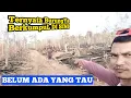 Lagu Mikat Burung Di Hutan || Tempat Suku Baduy Berladang 
