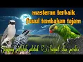 Download Lagu Masteran terbaik 🔥 jingjing petulak platuk Sampit dan perkici