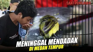 Download TAK DI DUGA SOGON BATOSAY MEN1NGG4L MENDADAK SAAT PENILAIAN HAMPIR SELESAI MP3