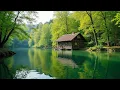 Download Lagu Healing Music for Inner Peace 🌿 Calm Nature Sounds for Stress Release \u0026 Deep Sleep, Relaxing Music