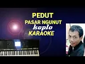 Download Lagu PEDUT PASAR NGUNUT - KOPLO