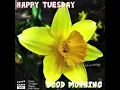 Happy Tuesday Good Morning gif What s Up Status Tuesday Status Good Morning