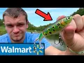Testing Walmart s Cheap vs Expensive Fishing Lures