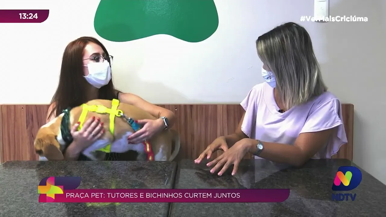 Tutores e bichinhos curtem espaço “pet friendly” em shopping de Criciúma