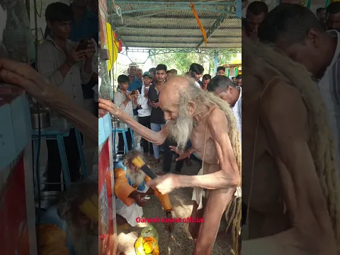 संत श्री सियाराम बाबा जी के दर्शन 🙏#shorts #viral #india #guru #baba #trending #youtubeshorts #ram