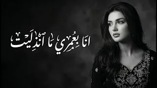 أنا بعمري ما انذليت    أقوى طرب حزين      دندنها