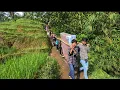 Lagu Viral‼️ Uniknya Jajap Pengantin Pedesaan, Mapay Jalan Satapak Licin Dengan Pemandangan Sawah Indah 