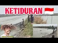 Download Lagu Harga udang lagi murah banget@SarmanLadusing