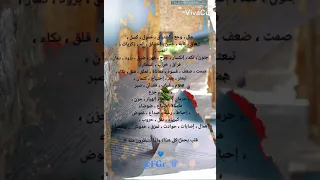 حالات واتساب حزينه ستوريات انستا ايوب الفريجي هنيال كلب النايم بليله  حالات واتساب حزينه ستوريات انستا ايوب الفريجي هنيال كلب النايم بليله