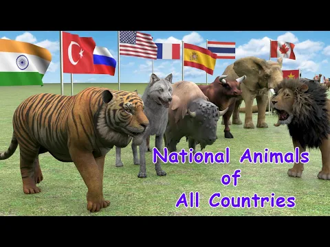 Download MP3 National Animals of Countries | Flags and Countries name With National Animal